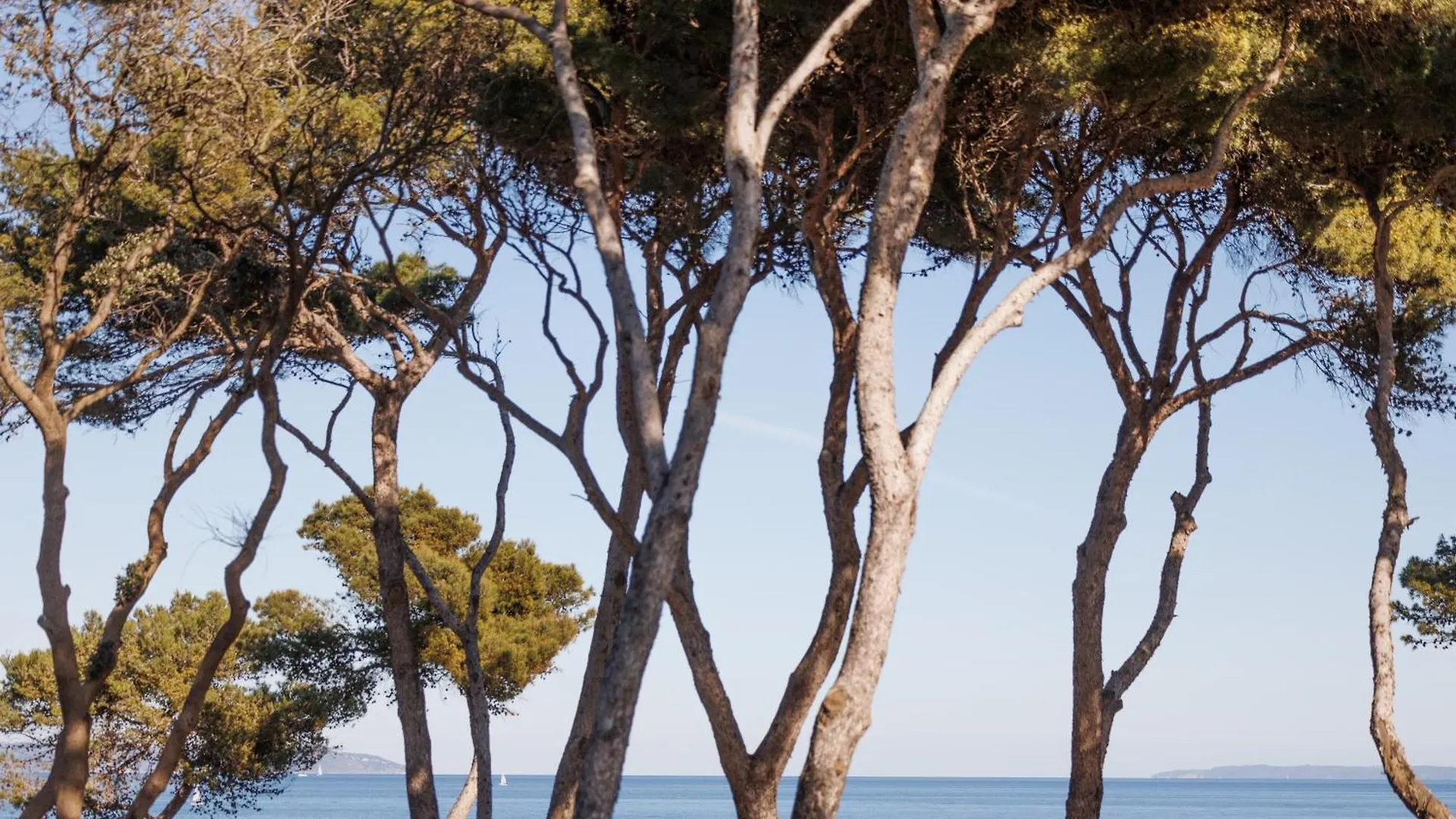 Le Domaine De La Mer - Appartements De Plage Dans Un Cadre Enchanteur Hyères Apartament