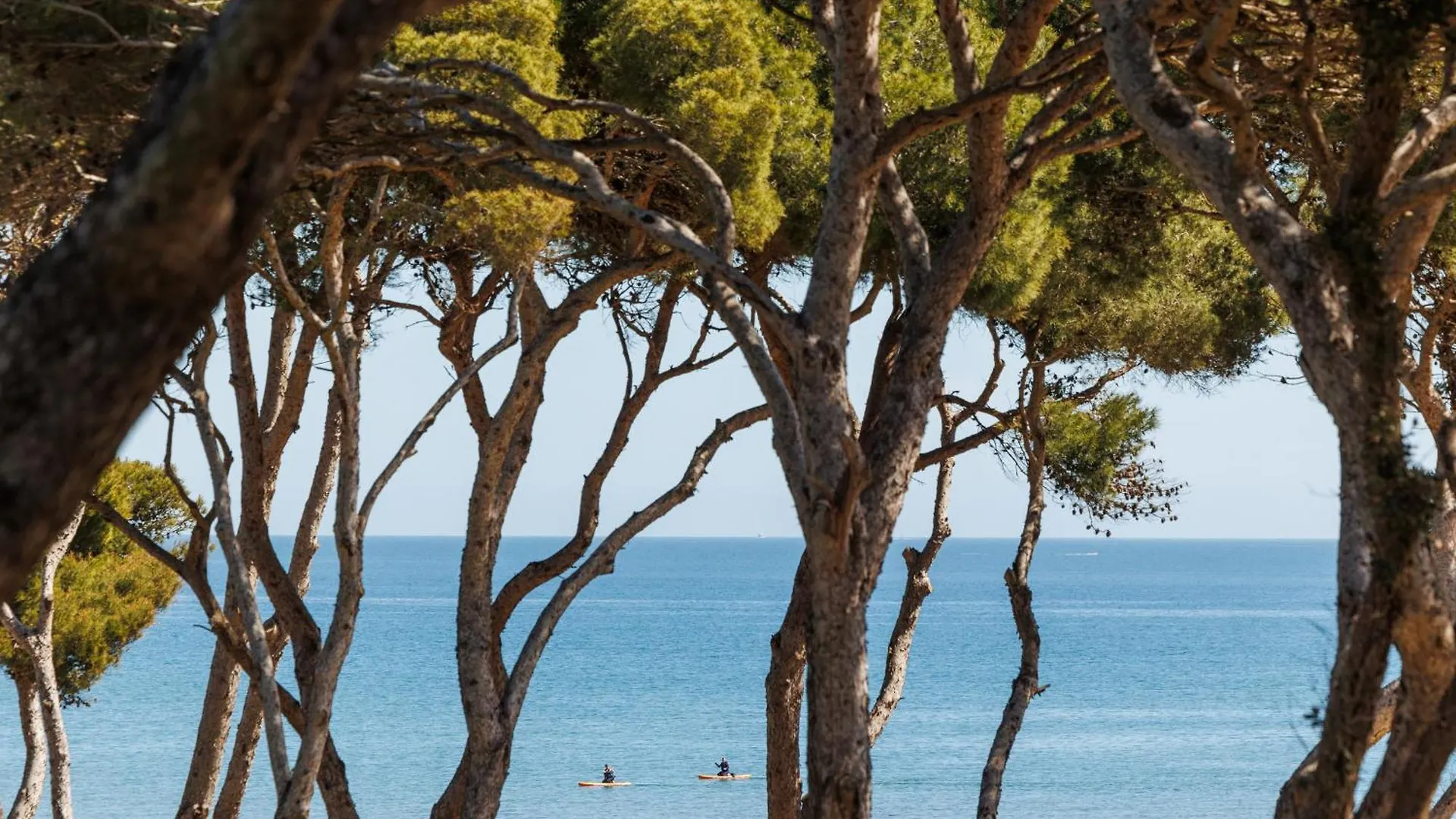Le Domaine De La Mer - Appartements De Plage Dans Un Cadre Enchanteur Hyères Appartamento