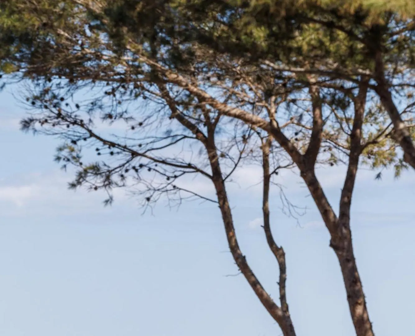 Domaine de la Mer - Les Pieds dans l'Eau Hyères